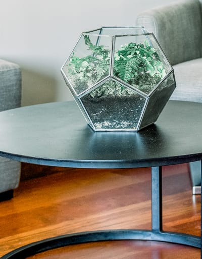 interior designer 11